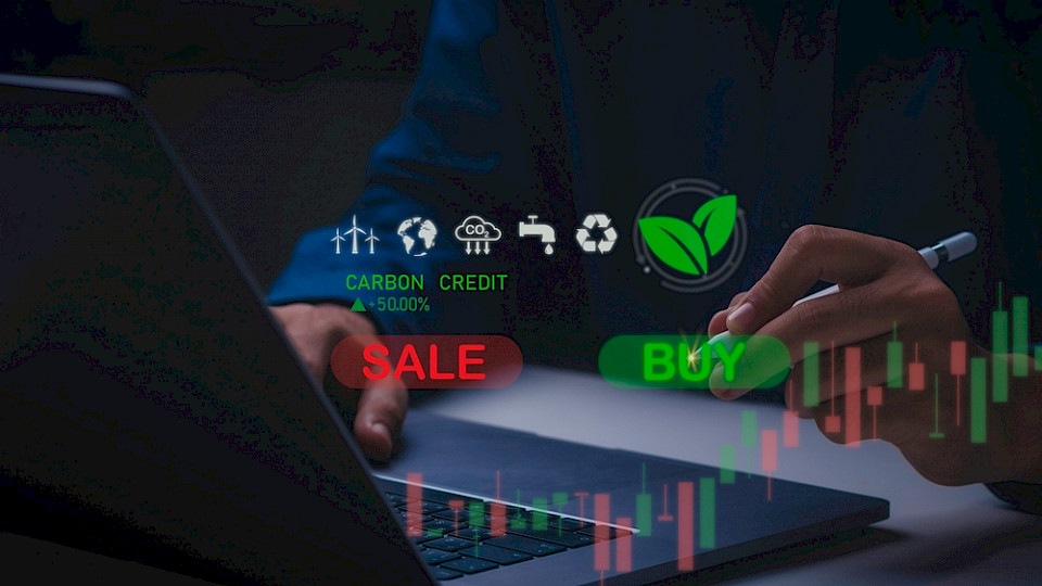 Wenn Kunden sich für Carbon Offset-Anteilsklassen entscheiden, wird ein Teil ihrer Anlage für den Kauf von Kohlenstoffgutschriften verwendet. (Bild Borri_Studio/Shutterstock)