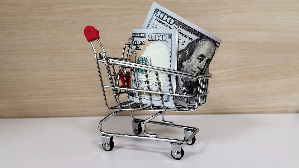 Der US-Dollar legte nach Vorlage der neuesten Inflationsdaten an Wert zu. (Bild: Shutterstock.com/Iskender Kabul)