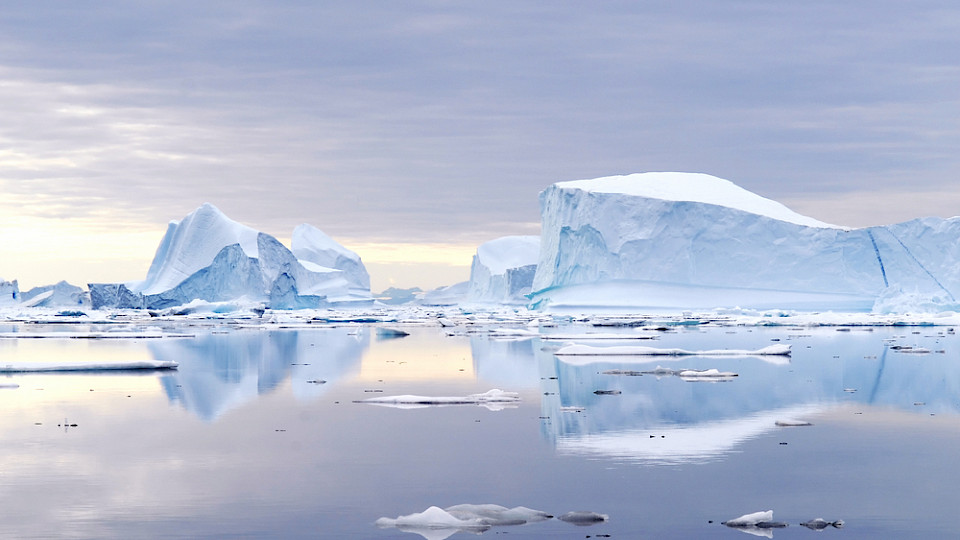 Der Nordost-Grönland-Nationalpark ist mehr als zweieinhalb Mal so gross wie Deutschland. (Bild Chris Howey/Shutterstock)