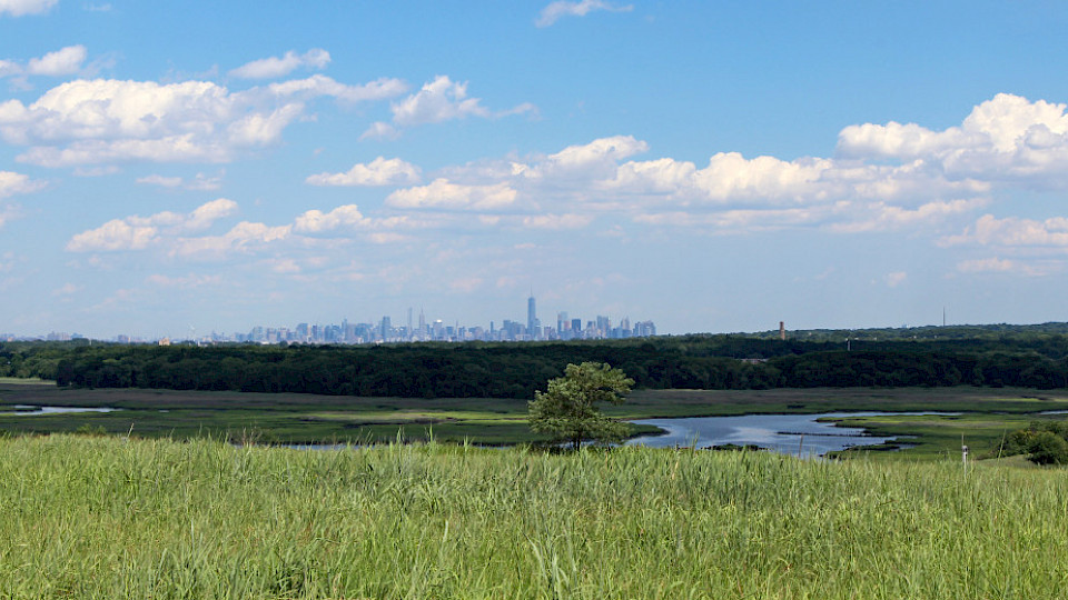 Der erste kleine Teil des Parks ist offen, erst 2036 soll die riesige Anlage fertig sein. (Bild pd)