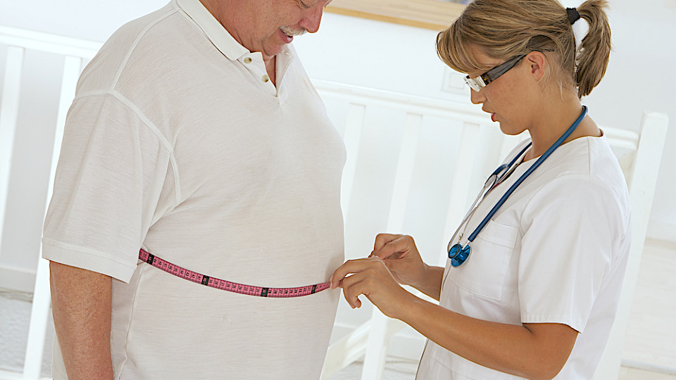 Heute leiden rund 40 Prozent der Weltbevölkerung an Übergewicht. Bis 2035 könnten es über 50 Prozent sein. (Bild JPC-PROD/Shutterstock)