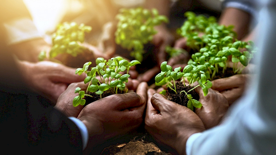 Investitionen in nachhaltige Anlagen sind laut Studie nicht in erster Linie um das schlechte Gewissen zu beruhigen. (Bild PeopleImages.com/Shutterstock)