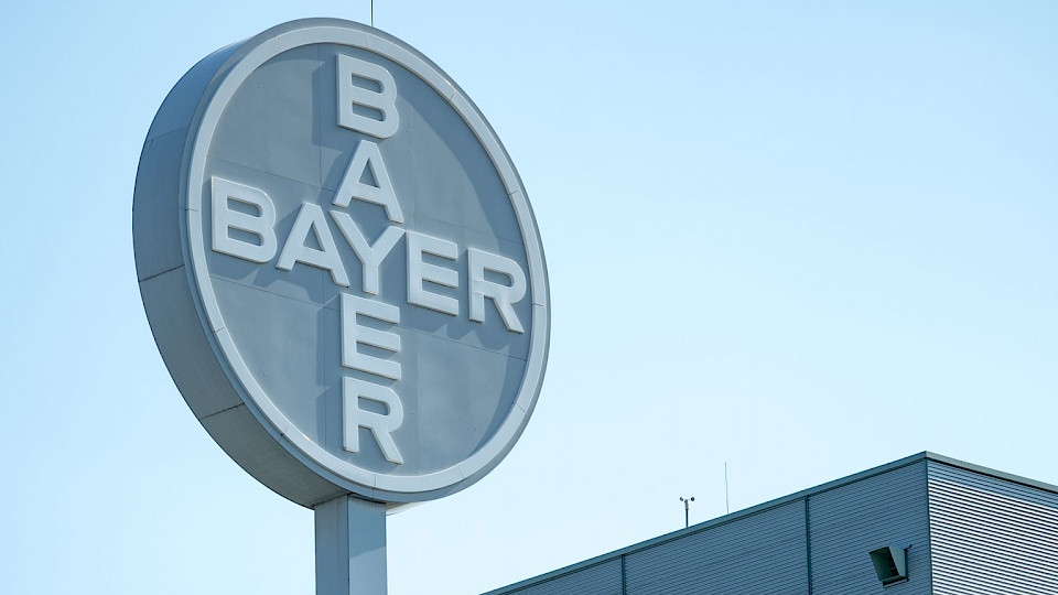 Der Konzern ist mehrfach unter Druck, die Bayer-Aktie sackt fast 20 Prozent ab. (Bild pd)