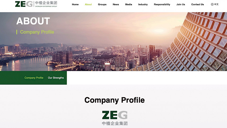 Das Firmen-Profil muss angepasst werden. Die Finanzgruppe ist zahlungsunfähig. (Bild pd)