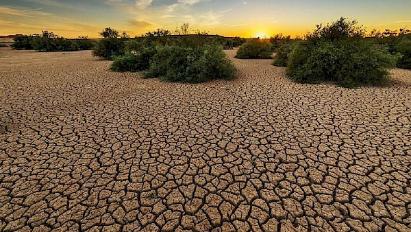 Mirova peilt 350 Millionen Euro für neue Strategie an