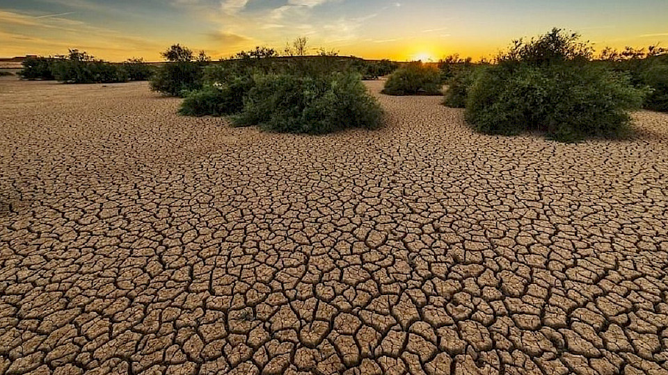 Die Bekämpfung der Wüstenbildung gehört zu den zentralen Zielen der Vereinten Nationen. (Bild pd)