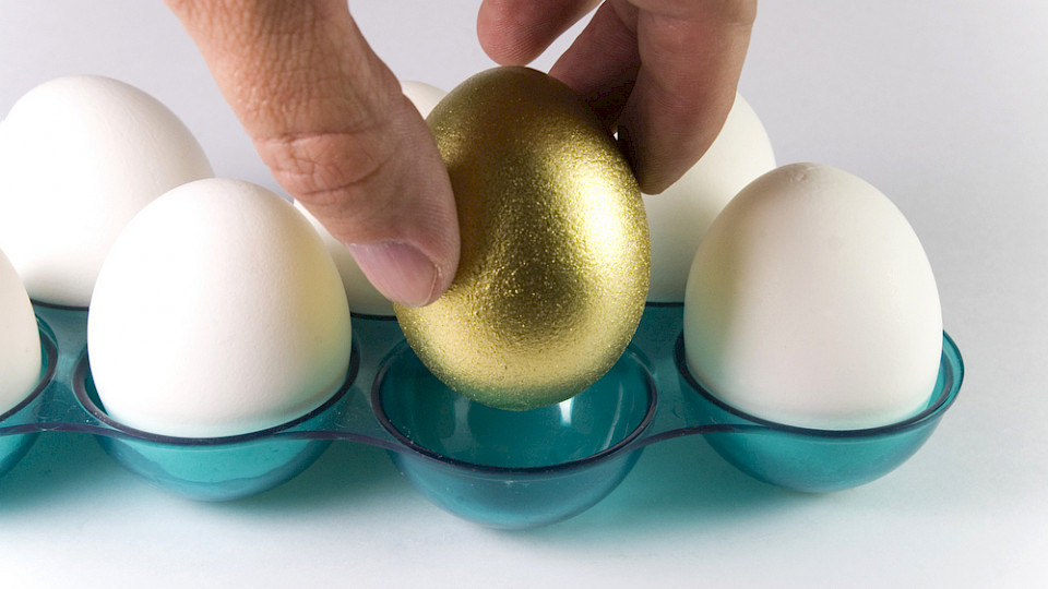 Bondpicker-Märkte erfordern eine sorgfältige Auswahl der Emittenten und Titel. (Foto Shutterstock.com/oculo)