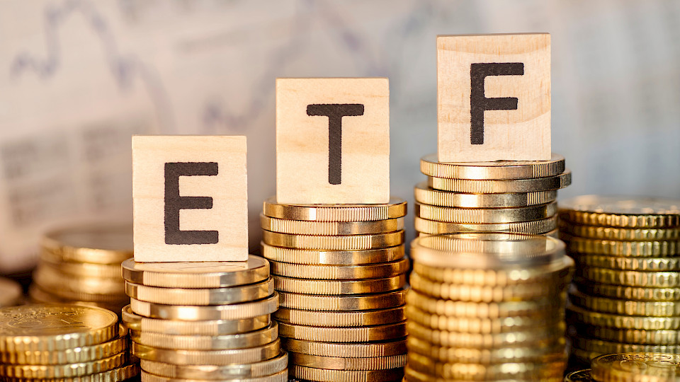 Nach Sektoren standen im November Aktien-ETF mit IT-Fokus im Vordergrund. (Bild: Shutterstock.com/gopixa)
