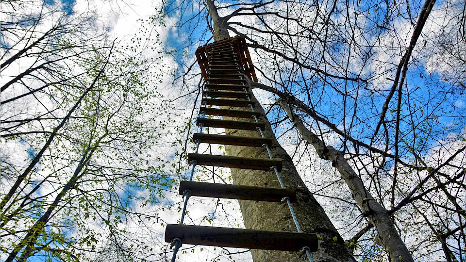 Auch wer im Rating nicht ganz oben steht, bietet  Ertragschancen, meistens sogar bessere. (Bild: Shutterstock.com/Sebastian_Photography)