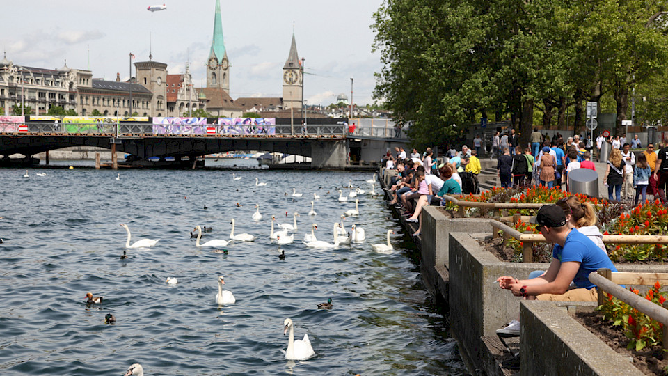 Zürich verbessert sich von Platz 3 auf Rang 1, der lebenswertesten Städte in Europa. (Bild Lewis Liu/Shutterstock)