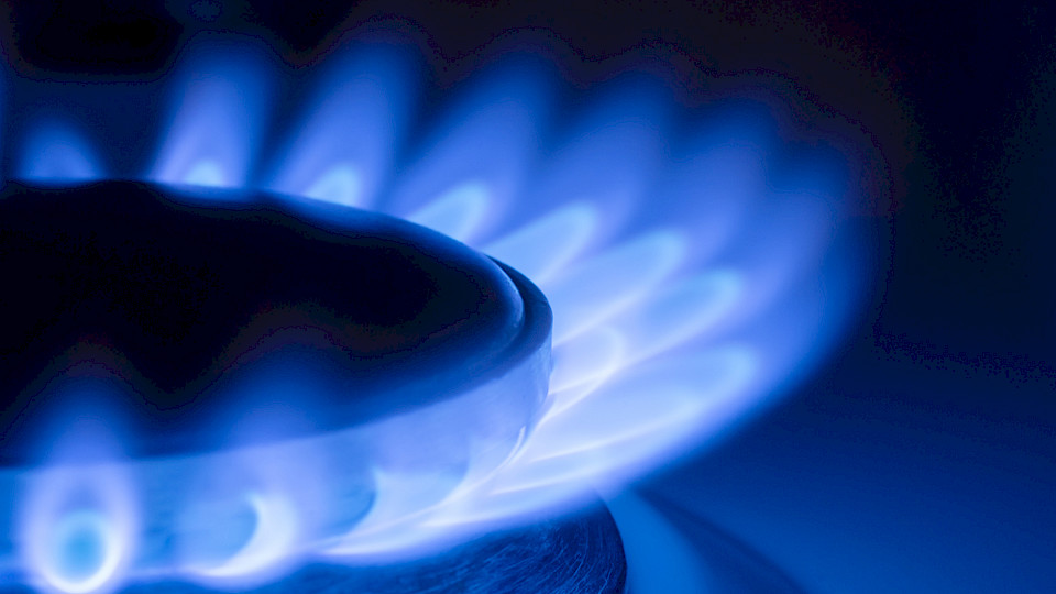 Seit Anfang Jahr sank der Gaspreis rund 20 Prozent. (Bild yuratosno3/Shutterstock)