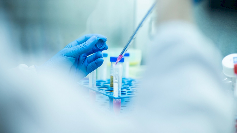 Die Schweizer Biotechfirmen sammelten 2023 rund 2 Milliarden Franken an frischem Kapital. (Bild alicancomertpay/Shutterstock)