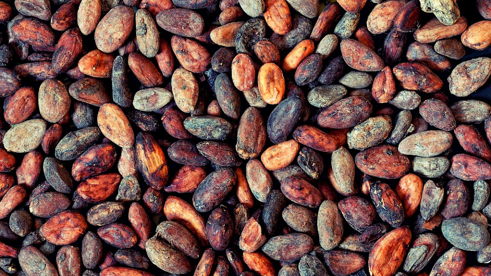 Der Kakaopreis ist seit Anfang Jahr explodiert, andere Rohstoffe sind ebenfalls teurer geworden. (Bild AlexeiLogvinovich/Shutterstock)