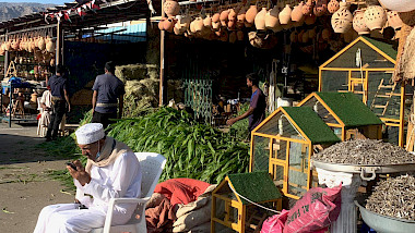 Wenig los auf dem Markt: Nun streicht Edelweiss ihre Oman-Flüge massiv zusammen. (Bild Patricia Schaller)