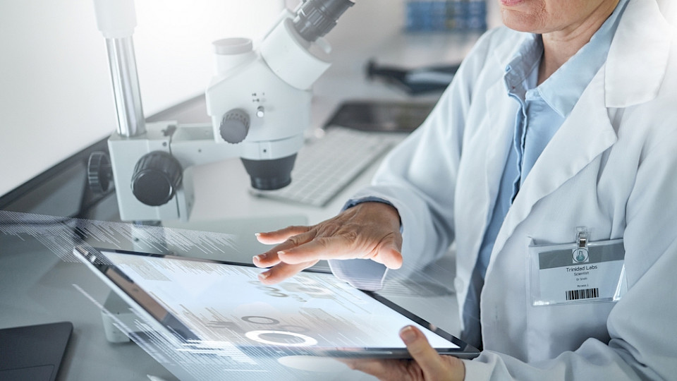 Laut Studie haben sich die von ausländischen Investoren neu geschaffene Arbeitsplätze im Jahresvergleich auf 1781 mehr als verfünffacht. (Bild PeopleImages.com - Yuri A/Shutterstock)