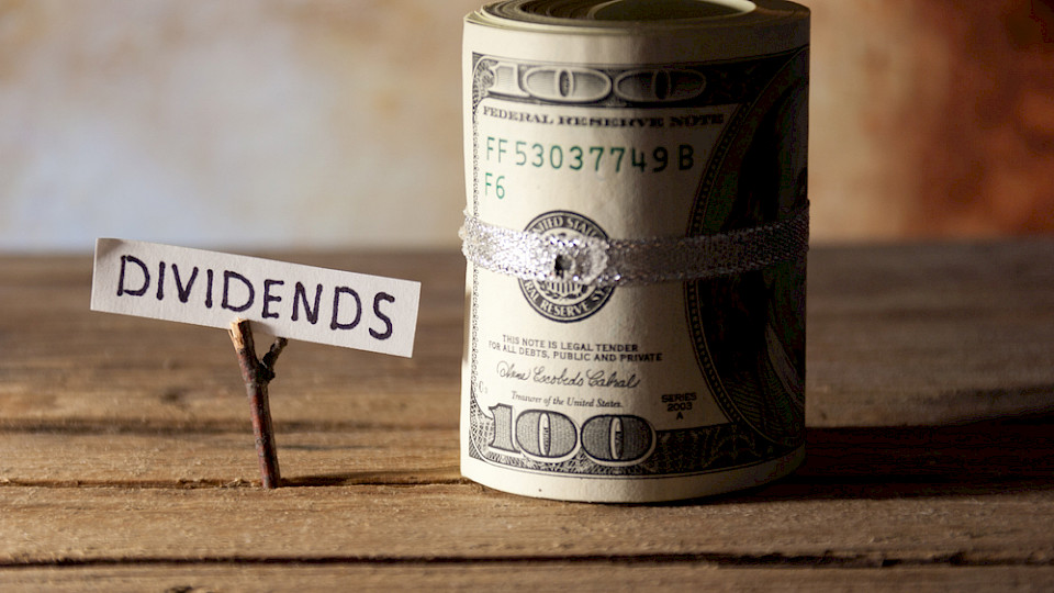 Laut Janus Henderson Global erreichten die Ausschüttungen in den USA ein Allzeithoch. (Bild Markgraf/Shutterstock)