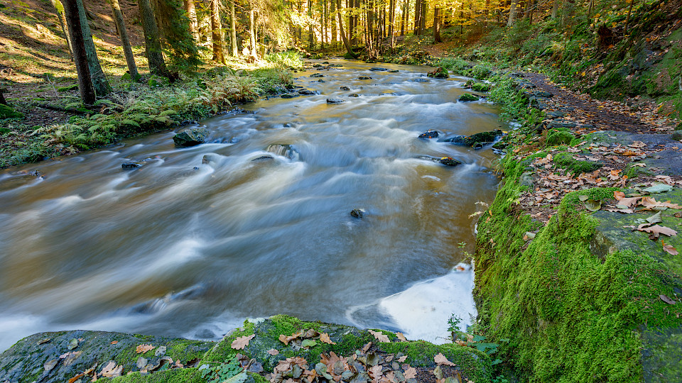 Europas Fondsmarkt verzeichnete im Mai dank der guten Anlegerstimmung Nettogeldzuflüsse von 54 Mrd. Euro (Quelle: Artush / Shutterstock).