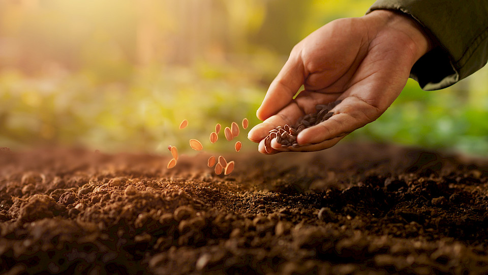 Nachhaltige Produktion dank regenerativer Landwirtschaft: Nestlé ist eines der Unternehmen, das diesen Trend finanziell stark unterstützt. (Bild: Shutterstock.com/
Piyaset)