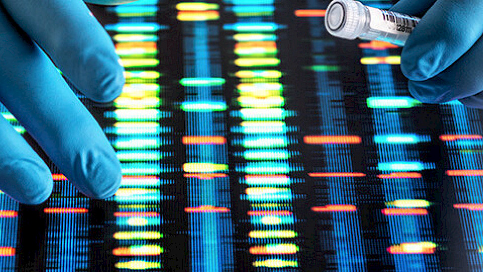 Die Zinssenkung der US-Notenbank verbesserte die Ausgangslage für den Biotechsektor. (Bild pd)