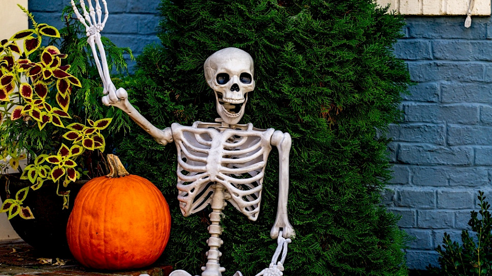 Die fünf Grafiken können wie die Dekoration einen Schreck einjagen. (Bild Volodymyr TVERDOKHLIB/Shutterstock)