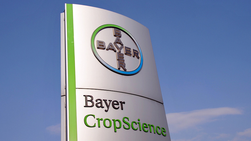 Wegen den erneuten Abschreibungen in der Sparte Crop Science resultiert ein Reinverlust von mehr als 4 Milliarden Euro. (Bild nitpicker/Shutterstock)