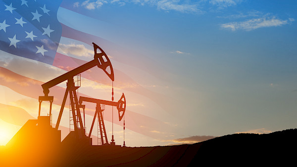 «America First» gilt auch für den Aktienmarkt