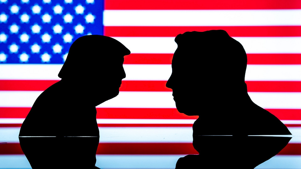Das Duo Donald Trump und Elon Musk konnte sich im Repräsentantenhaus nicht durchsetzen, auch wegen der Gegenwehr der Republikaner. (Bild Rokas Tenys/Shutterstock)