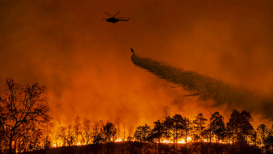 Waldbrände verursachen in Kalifornien immer wieder enorm hohe Schäden und sogar Todesopfer (Bild: Shutterstock/Toa55).