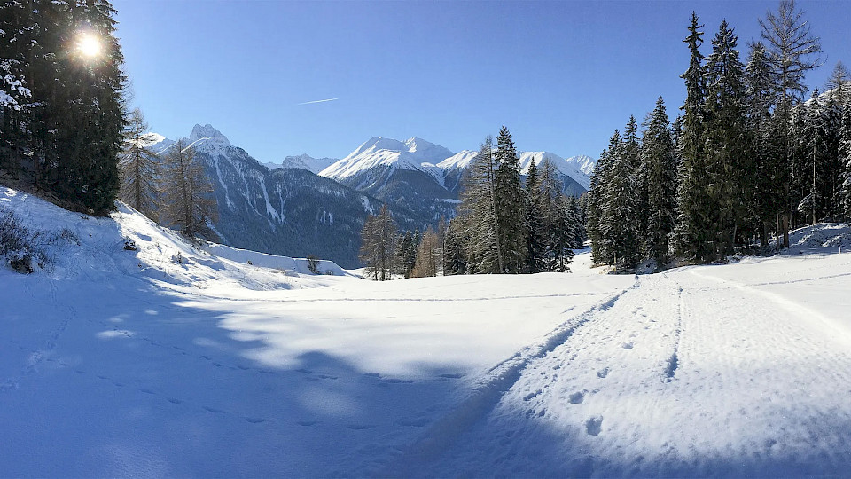 Die präparierte Winterwanderung von Ardez über Ftan nach Scuol (Bild: Heinz Staffelbach)