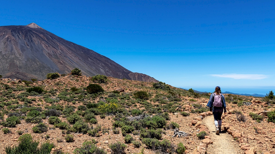 Der Zugang zum Vulkan ist schon eingeschränkt, ab 2026 soll er zusätzlich etwas kosten. (Bild Christopher Moswitzer/Shutterstock)