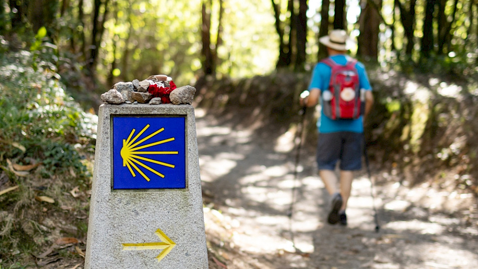 Der Jakobsweg führt nach Santiago de Compostela und gilt als Nummer 1 der grossen Wanderwege. (Bild Formatoriginal/Shutterstock)