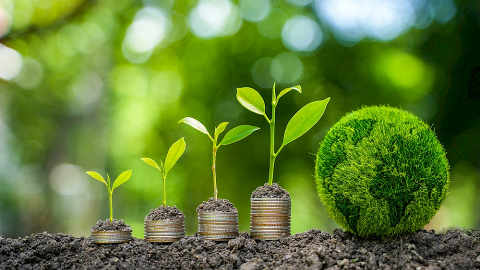 Laut Studie legten nachhaltige Anlagen deutlich stärker zu als die Finanzmärkte insgesamt, die rund acht Prozent anzogen. (Bild Naiyana Somchitkaeo/Shutterstock)