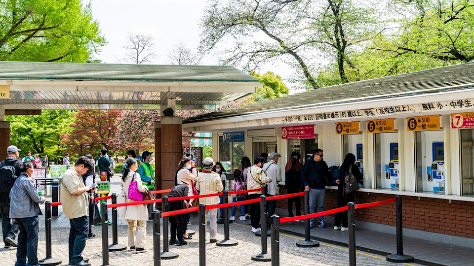 Die Daten aus dem Grossraum Tokio gelten als verlässlicher Frühindikator für die gesamte Preisentwicklung des Landes. (Bild M/Shutterstock)