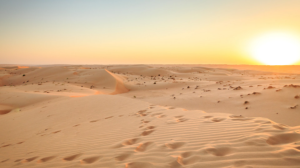Die Zinswüste ist zurück. Im Durchschnitt erhalten Sparerinnen und Sparer in der Schweiz noch 0,18 Prozent Zins. (Bild: Shutterstock.com/Philipp Seiler)