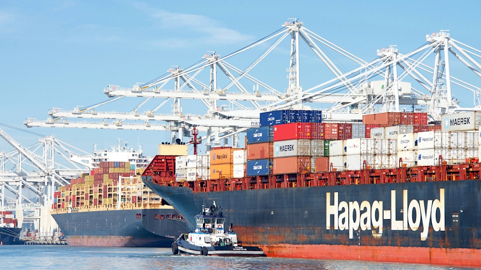 Tiefere Frachtpreise und höhere Kosten belasten das Ergebnis bei der Reederei. (Bild Sheila Fitzgerald/Shutterstock)