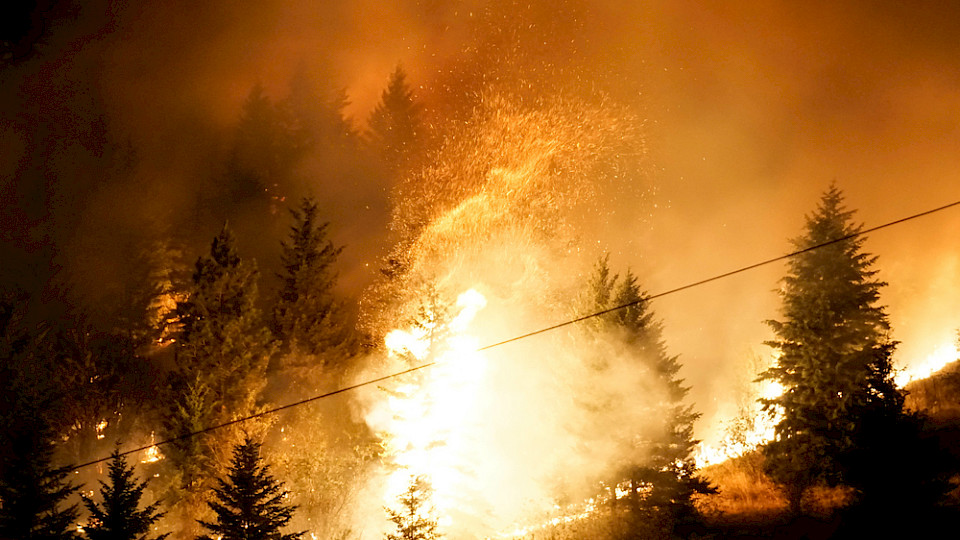 Das Land erlebt die zweitschlimmste Waldbrandsaison in der jüngeren Geschichte. (Bild Wirestock Creators/Shutterstock)