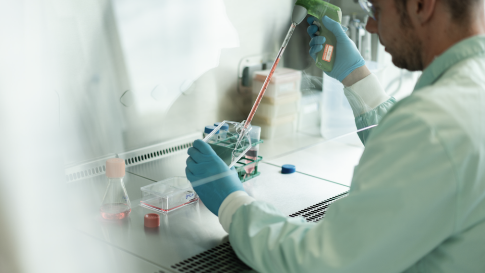 Das Angebot entspricht einem Aufschlag von mehr als 40 Prozent. (Bild pd)