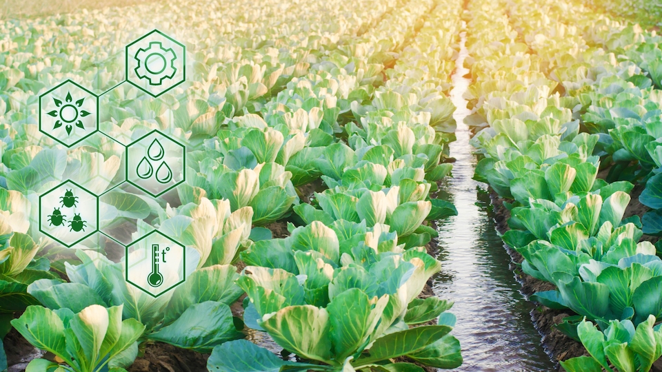 Der Wasserfonds von Tareno erfüllt FNG-Kriterien (Bild: Shutterstock)