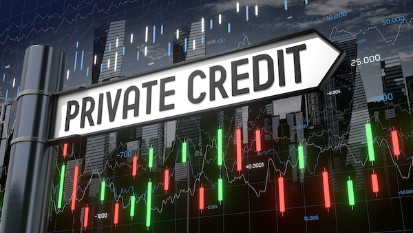 Private Credit von Direct Lending bis CLO: Wie investieren institutionelle Anleger und vermögende Anleger in entsprechende Fonds?
