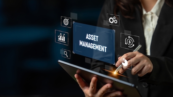 Deep Dive zum Asset Management: Das Ende des bequemen Wachstums