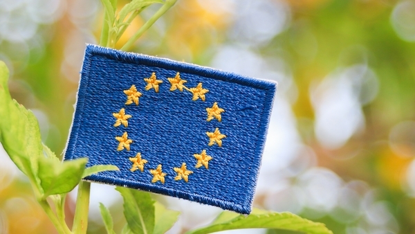 Umstrittene SFDR-Reform in der EU: «Transition»-Fonds sollen in Fossilenergie investieren können