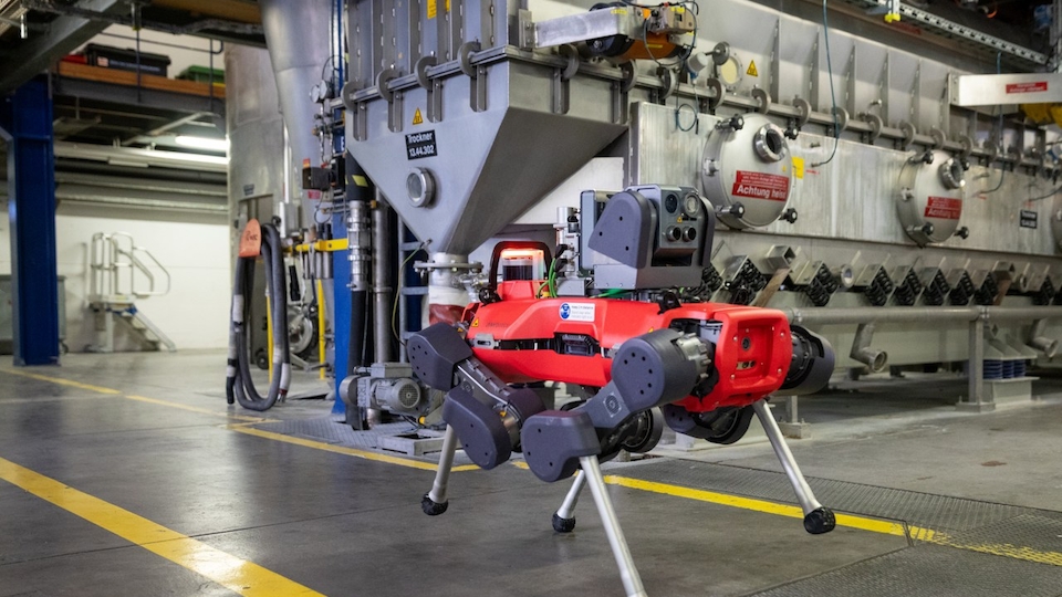 Schweizer Scale-ups, wie Anybotics, sind sehr erfolgreich und zu einem wichtigsten Wirtschaftsfaktor geworden (Bild: Anybotics)