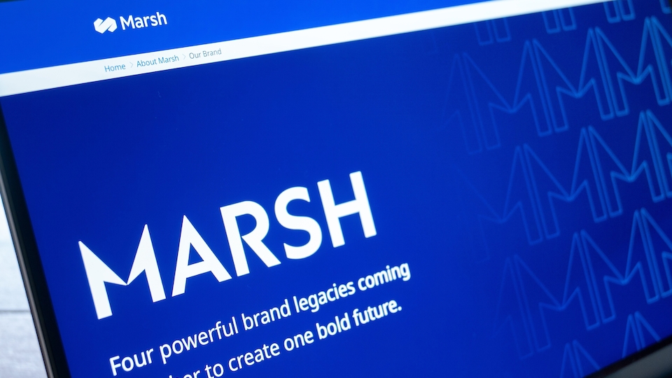 Die Erhebungen von Marsh zeigt, dass institutionelle Anleger signifikante Anpassungen bei ihren Portfolios gemacht haben (Bild: Shutterstock)