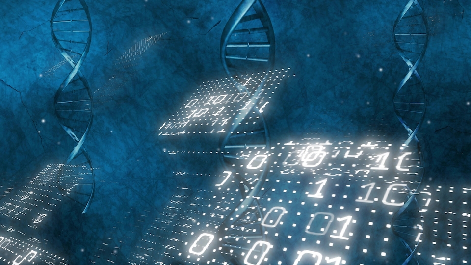 HBM Healthcare meldet einen starken Gewinnanstieg für das erste Halbjahr 2026/27 (Bild: Shutterstock)